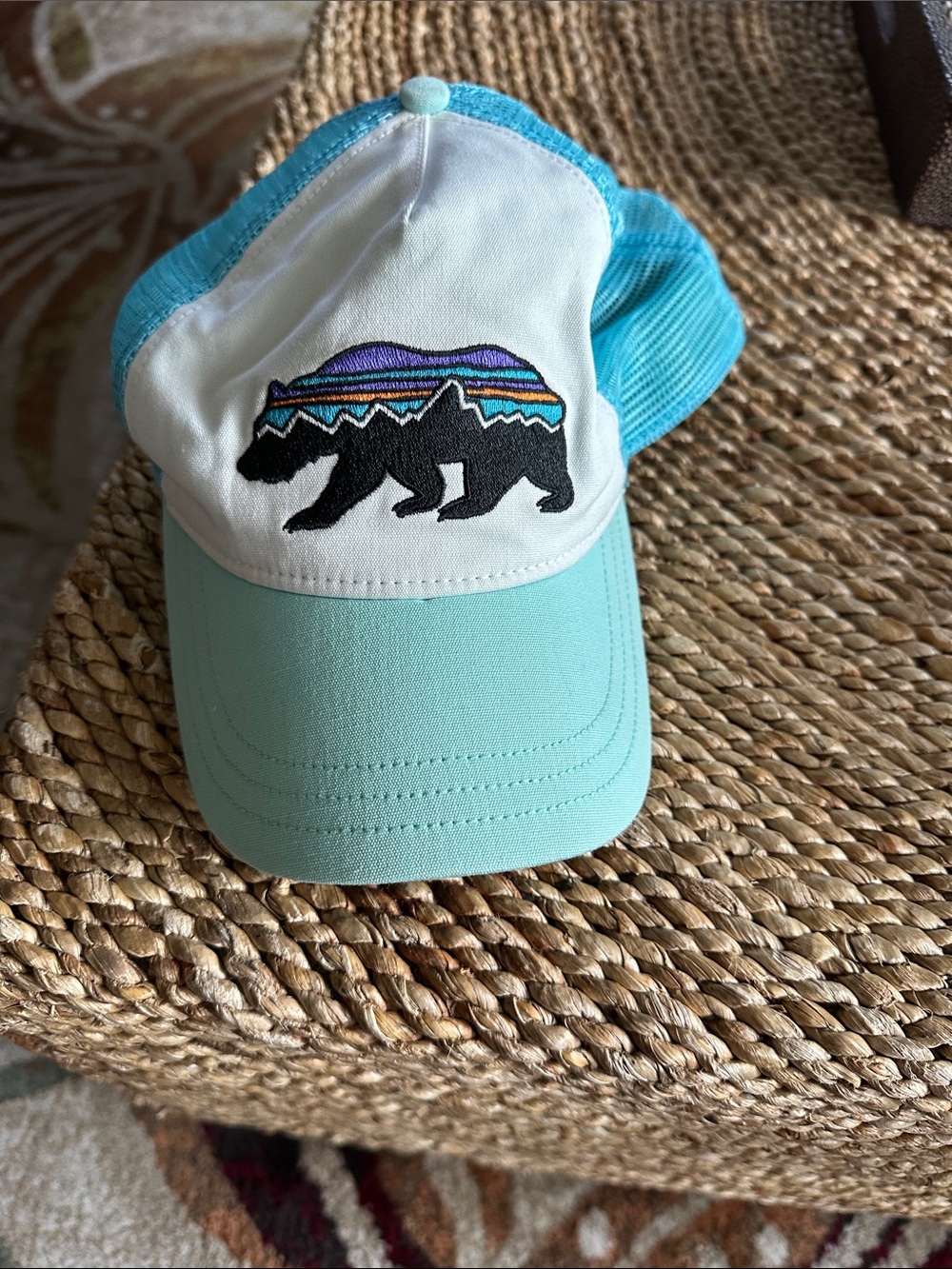 Patagonia Teal White Trucker Hat with Multicolor Bear Patch